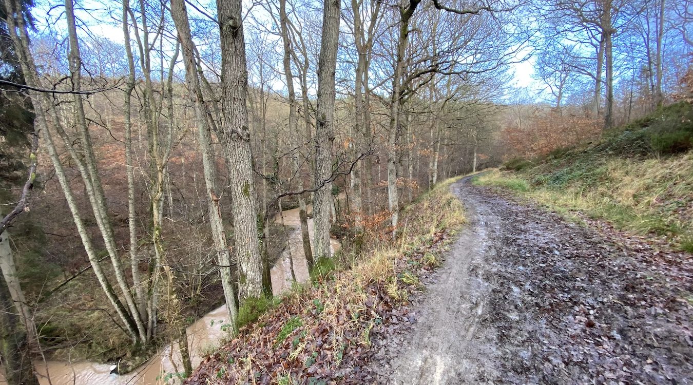 Visit the Dowles Brook Circular Walk Discover its history & architecture